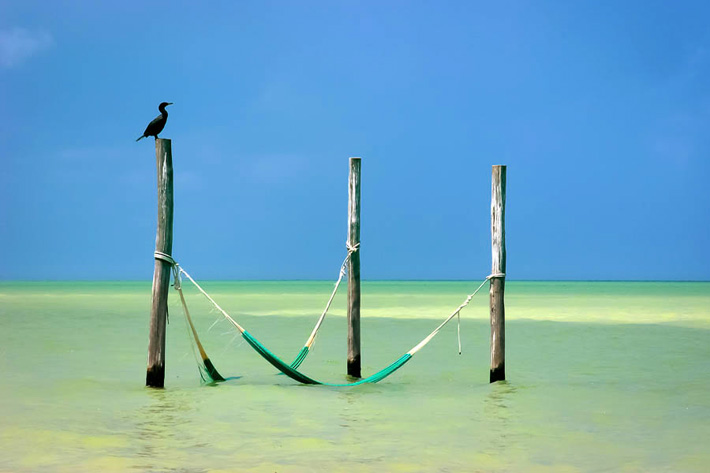 (Isla Holbox, Yucatán - Mexico)