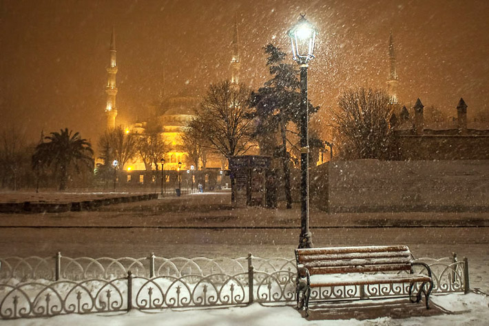 (Garden of the Blue Mosque, Istanbul - Turkey)